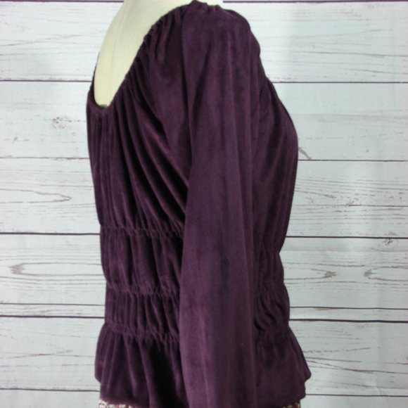 Plum Purple Microsuede Microfiber Long Sleeve Peasant Scoop Neck Top - Picture 8 of 16
